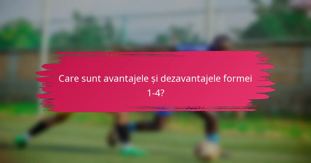Care sunt avantajele și dezavantajele formei 1-4?
