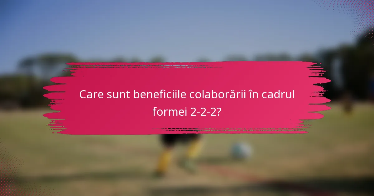 Care sunt beneficiile colaborării în cadrul formei 2-2-2?
