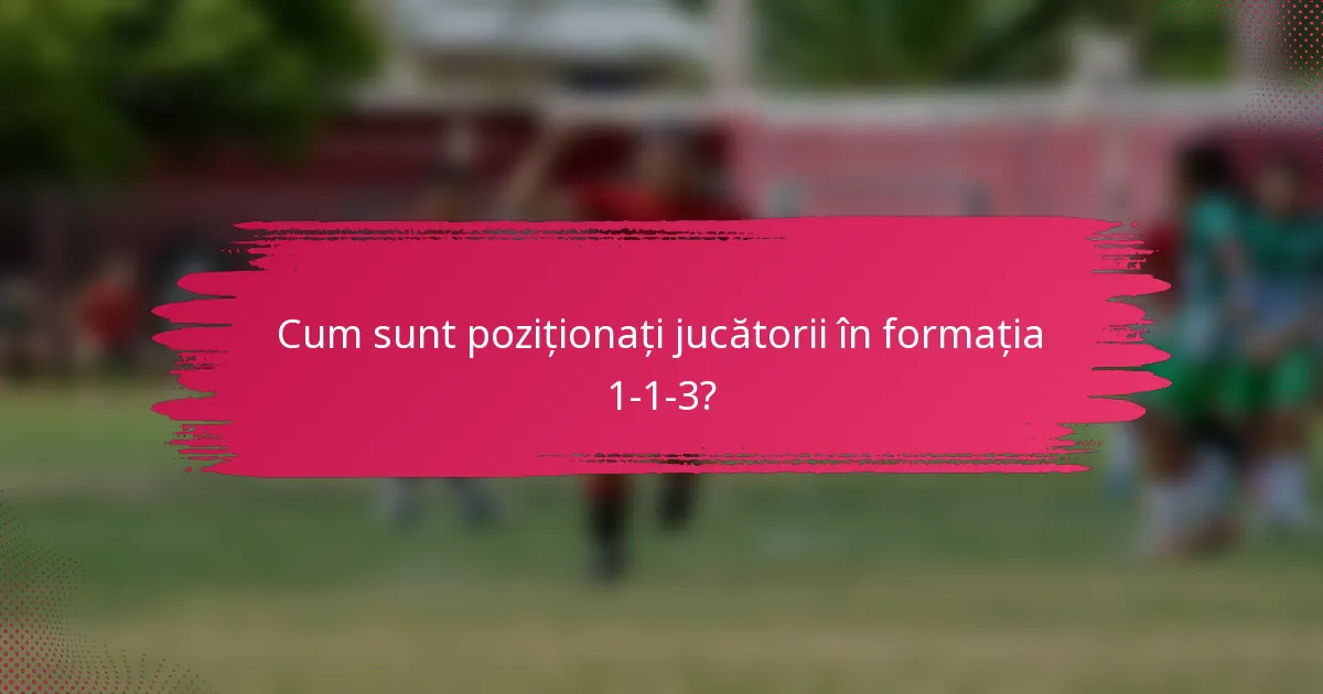 Cum sunt poziționați jucătorii în formația 1-1-3?